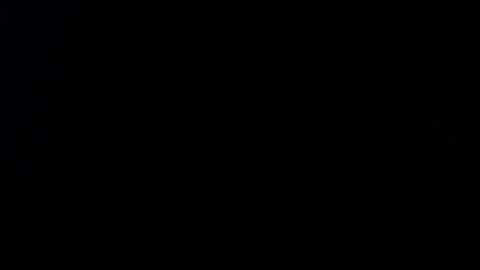 Holly online show from 6, 3, 2026