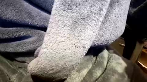 Snapshot of home_office_perks chatting on 23, 3, 2026 Neal online show from 23, 3, 2026