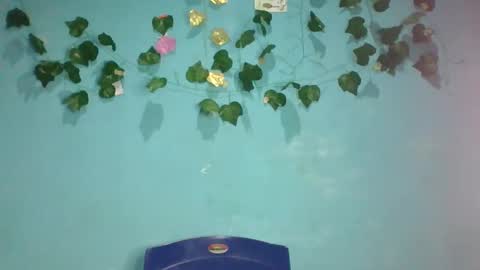 Queen online show from 13, 11, 2025