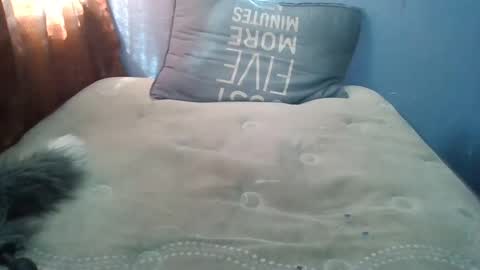 Snapshot of honeybut72uwu chatting on 19, 9, 2025 Honeybut72 online show from 19, 9, 2025