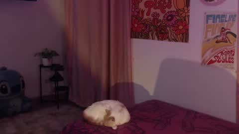 Snapshot of honeyypeaach chatting on 11, 12, 2024    online show from 11, 12, 2024