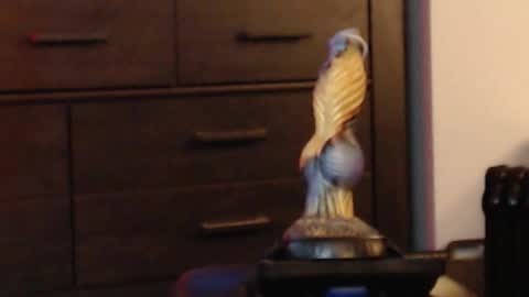 Snapshot of hookedup2 chatting on 8, 2, 2026 ItsReeleMe online show from 8, 2, 2026