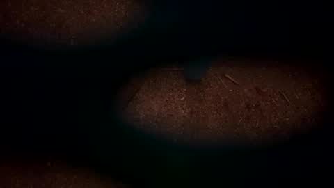 hopper_in_joyce online show from 2, 3, 2025