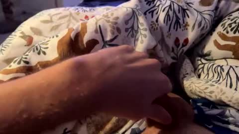 hot_for_you_ online show from 23, 11, 2025