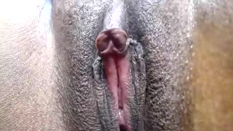 hotcake4567 online show from 25, 2, 2026