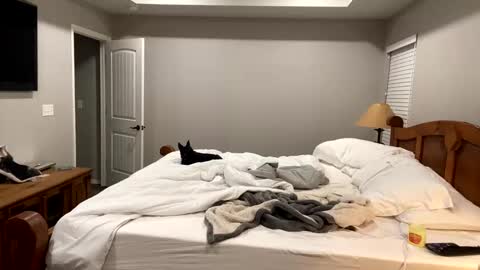 hottiewithabody101 online show from 11, 11, 2025