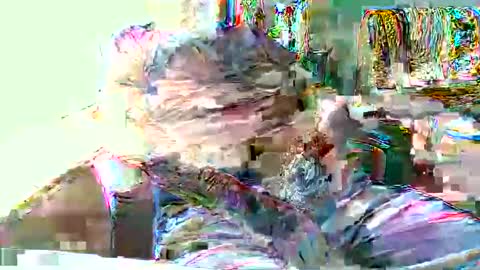 Hottop 1981 online show from 19, 4, 2026