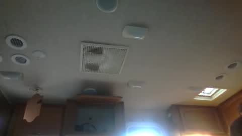 hoytme online show from 12, 12, 2024