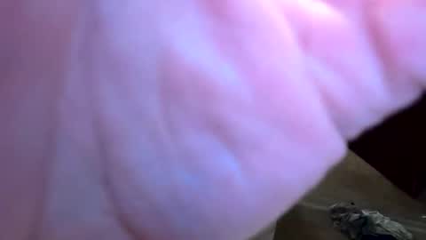 htwnswangn9 online show from 1, 4, 2026