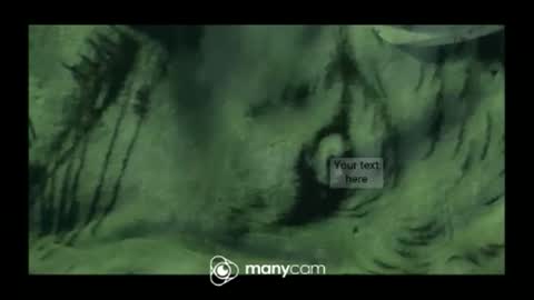 Snapshot of hungc2c420 chatting on 10, 3, 2026 hung420boner online show from 10, 3, 2026