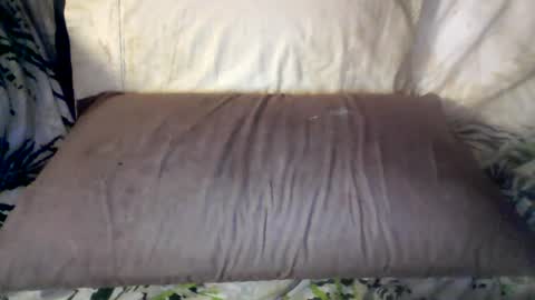 Snapshot of hungc2c420 chatting on 12, 6, 2026 hung420boner online show from 12, 6, 2026