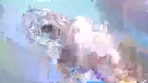 Snapshot of i_love_eula chatting on 15, 2, 2025 cant get you out of my head online show from 15, 2, 2025