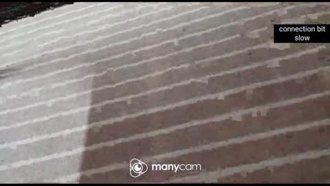 JP online show from 7, 1, 2026