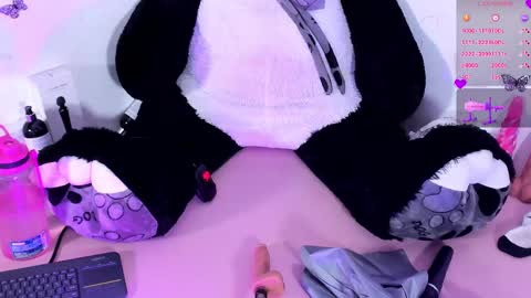 Snapshot of iamstephanie13 chatting on 23, 1, 2025 Steph - Online Again   - 1 DECEMBER online show from 23, 1, 2025