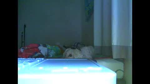 Snapshot of ian_zaenz chatting on 7, 11, 2025 Ian is back my loves online show from 7, 11, 2025