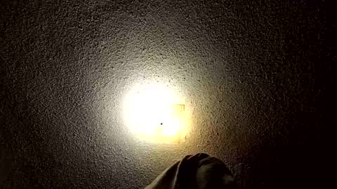 ibussbooties_007 online show from 14, 3, 2026