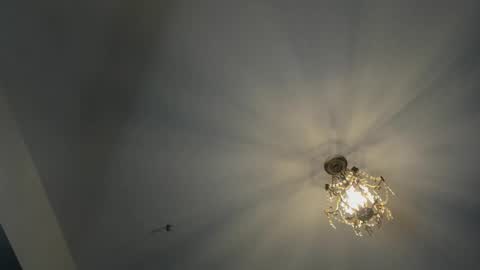 Igor scott online show from 16, 2, 2025