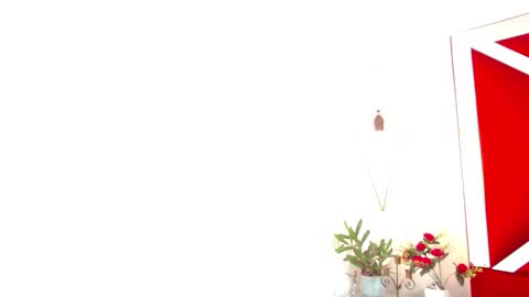 Snapshot of iisabella_noa chatting on 14, 11, 2025 Isabella online show from 14, 11, 2025