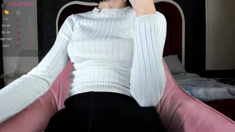 illegal_lorry online show from 20, 1, 2025