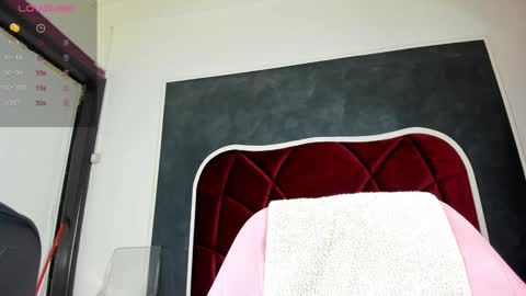 illegal_lorry online show from 31, 1, 2025