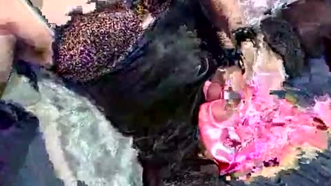 Snapshot of imabigolperv chatting on 2, 3, 2026 imabigolperv online show from 2, 3, 2026