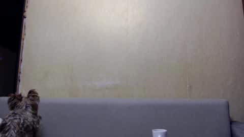 irina online show from 6, 1, 2026