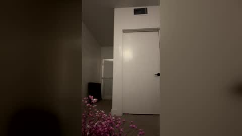 imlightskn online show from 9, 4, 2026