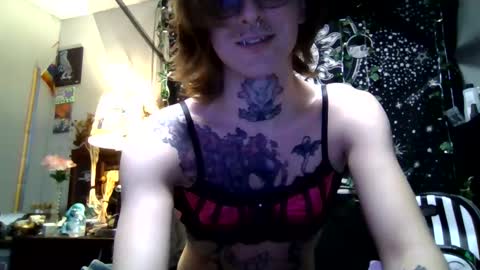 Snapshot of immascreamer chatting on 21, 2, 2026 SlyKitten online show from 21, 2, 2026