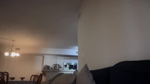 Snapshot of indiscriminator chatting on 18, 10, 2025 just1dude online show from 18, 10, 2025