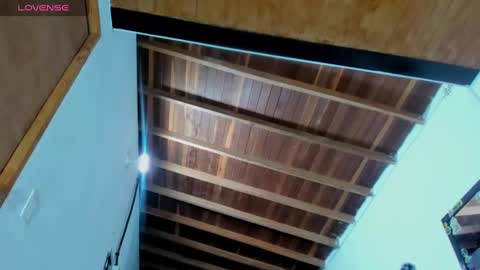 Snapshot of ink_demon chatting on 29, 12, 2024 demon online show from 29, 12, 2024