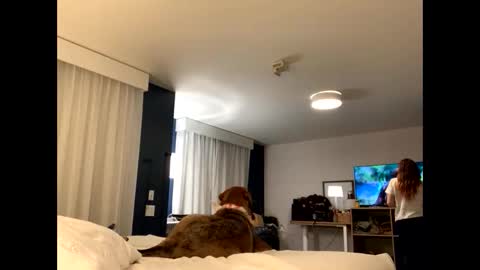 IntoTheWoodsWeGo online show from 27, 11, 2025