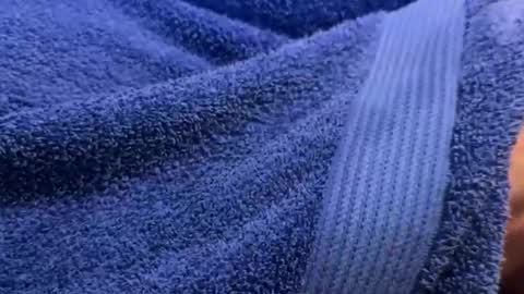 Snapshot of intressiert chatting on 30, 12, 2024 intressiert online show from 30, 12, 2024