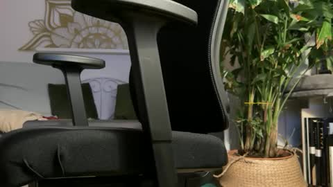 Snapshot of intressiert chatting on 19, 2, 2026 intressiert online show from 19, 2, 2026