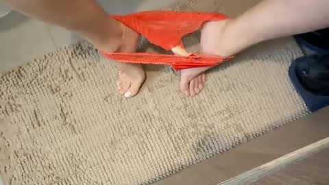 iopensusa online show from 27, 12, 2024