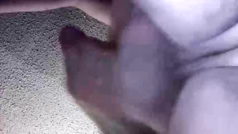 McDick online show from 30, 3, 2026