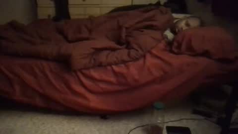 SexEngine88 online show from 2, 2, 2026