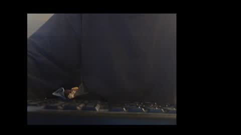 ital25usa online show from 11, 1, 2026