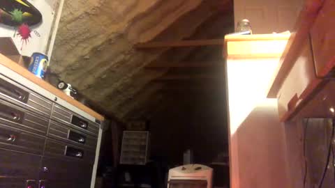 That  Guy  online show from 28, 1, 2025