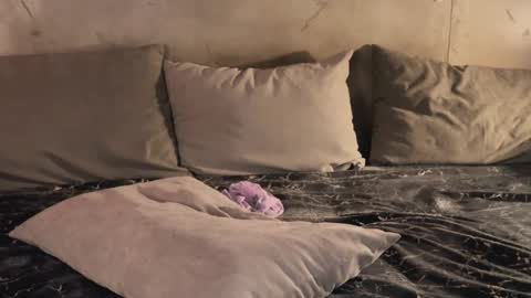 Snapshot of izi_fox chatting on 19, 2, 2025 izi online show from 19, 2, 2025