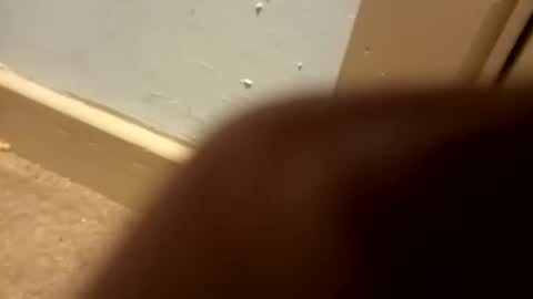 Snapshot of j434934 chatting on 5, 1, 2026 j434934 online show from 5, 1, 2026