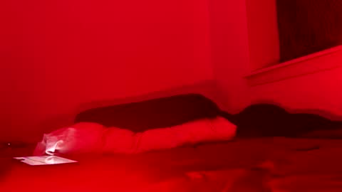 j4ckoff online show from 22, 11, 2025