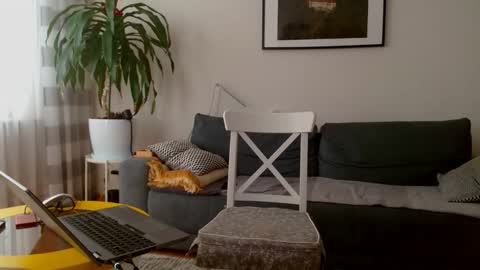 jacek___1 online show from 27, 2, 2026