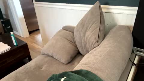 jack_daniels8101 online show from 7, 4, 2026