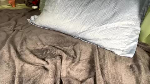 Snapshot of jacksbunnys chatting on 14, 1, 2025 jacksbunnys online show from 14, 1, 2025