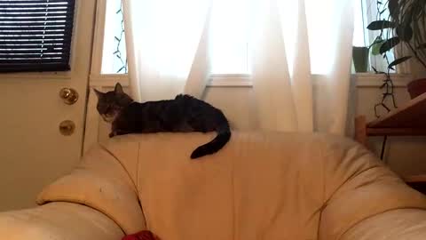 Jacob online show from 17, 2, 2026