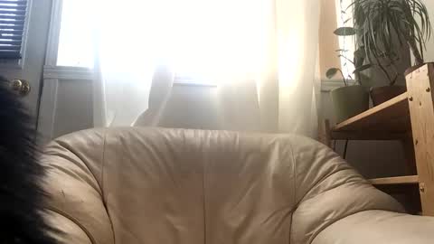 Jacob online show from 24, 2, 2026