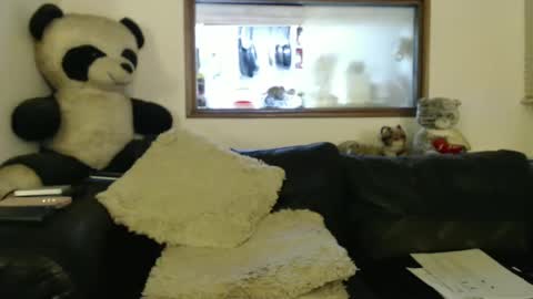 Snapshot of jacques_de_france chatting on 9, 1, 2025 Jacques online show from 9, 1, 2025