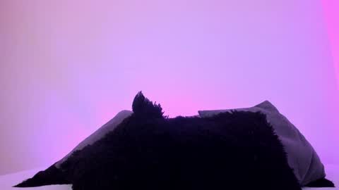 Snapshot of jade_james chatting on 20, 12, 2024 Mady online show from 20, 12, 2024