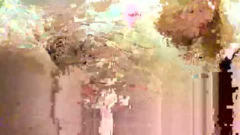 jadedmoshier online show from 28, 11, 2025