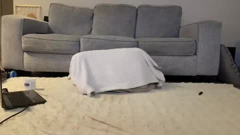 Snapshot of jamesjackin85 chatting on 16, 12, 2024 jamesjackin85 online show from 16, 12, 2024